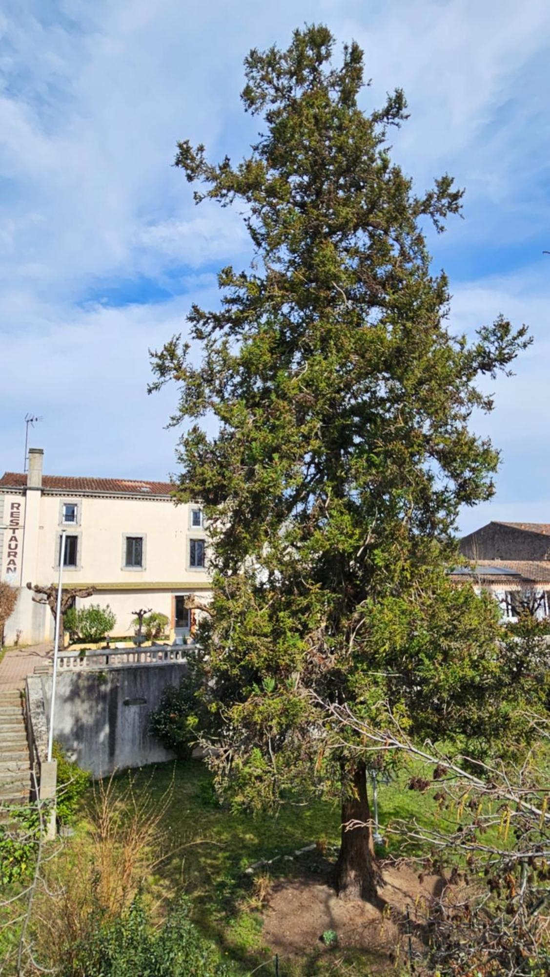 Villa Coliv'Castres à Burlats Extérieur photo